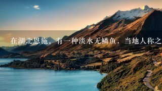在湖北恩施。有1种淡水无鳞鱼,当地人称之为土鱼。 在湖北恩施。有1种淡水无鳞鱼,当地人称之为土鱼。