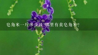 皂角米1斤多少钱?哪里有卖皂角米? 皂角米1斤多少钱?哪里有卖皂角米?