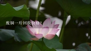 废铜1斤回收价格? 废铜1斤回收价格?