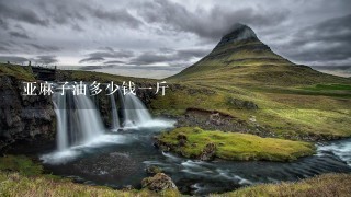 亚麻子油多少钱1斤 亚麻子油多少钱1斤
