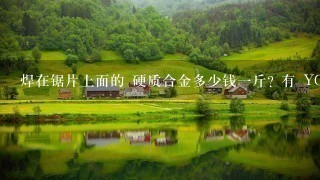 焊在锯片上面的 硬质合金多少钱1斤? 有 YG6X YG8X YC1的 ? 焊在锯片上面的 硬质合金多少钱1斤? 有 YG6X YG8X YC1的 ?
