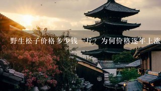 野生松子价格多少钱1斤?为何价格逐年上涨? 野生松子价格多少钱1斤?为何价格逐年上涨?