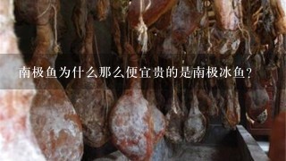 南极鱼为什么那么便宜贵的是南极冰鱼? 南极鱼为什么那么便宜贵的是南极冰鱼?