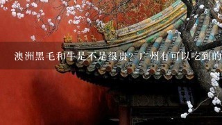 澳洲黑毛和牛是不是很贵?广州有可以吃到的餐厅吗?价格高吗? 澳洲黑毛和牛是不是很贵?广州有可以吃到的餐厅吗?价格高吗?
