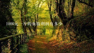 1000元1斤的鱼胶利润有多少 1000元1斤的鱼胶利润有多少