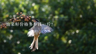 油菜籽价格多少钱1斤? 油菜籽价格多少钱1斤?