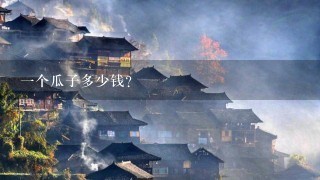 1个瓜子多少钱? 1个瓜子多少钱?