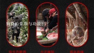 狗脊的作用与功效? 狗脊的作用与功效?
