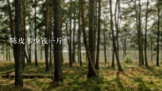 陈皮多少钱1斤? 陈皮多少钱1斤?