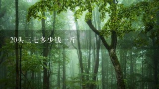 20头37多少钱1斤 20头37多少钱1斤