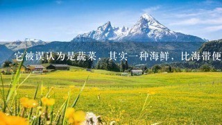 它被误认为是蔬菜,其实1种海鲜,比海带便宜 它被误认为是蔬菜,其实1种海鲜,比海带便宜