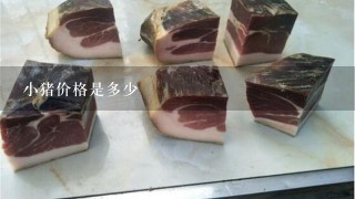 小猪价格是多少 小猪价格是多少