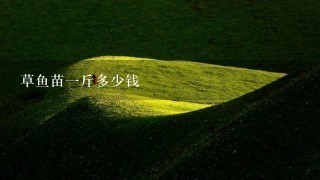 草鱼苗1斤多少钱 草鱼苗1斤多少钱