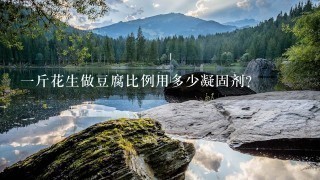 1斤花生做豆腐比例用多少凝固剂? 1斤花生做豆腐比例用多少凝固剂?