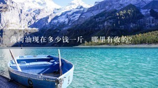 薄荷油现在多少钱1斤。哪里有收的? 薄荷油现在多少钱1斤。哪里有收的?