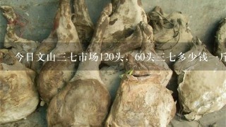今日文山37市场120头,60头37多少钱1斤 今日文山37市场120头,60头37多少钱1斤
