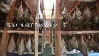 现在广东棉子价格是多少1斤 现在广东棉子价格是多少1斤
