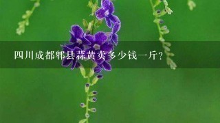 4川成都郫县蒜黄卖多少钱1斤? 4川成都郫县蒜黄卖多少钱1斤?