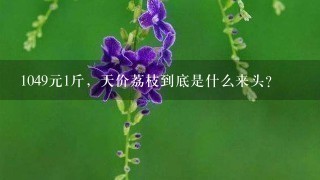 1049元1斤,天价荔枝到底是什么来头? 1049元1斤,天价荔枝到底是什么来头?