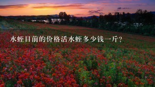 水蛭目前的价格活水蛭多少钱1斤? 水蛭目前的价格活水蛭多少钱1斤?