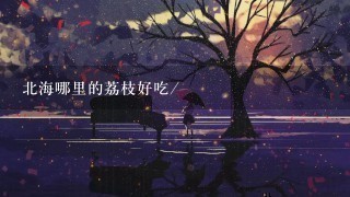 北海哪里的荔枝好吃/ 北海哪里的荔枝好吃/