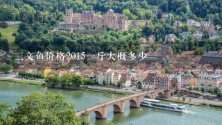 3文鱼价格20151斤大概多少 3文鱼价格20151斤大概多少