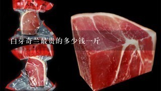 白芽奇兰最贵的多少钱1斤 白芽奇兰最贵的多少钱1斤