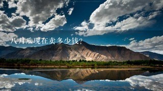 8月瓜现在卖多少钱? 8月瓜现在卖多少钱?