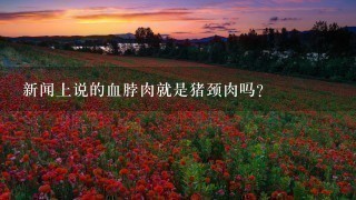 新闻上说的血脖肉就是猪颈肉吗? 新闻上说的血脖肉就是猪颈肉吗?