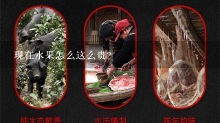 现在水果怎么这么贵? 现在水果怎么这么贵?