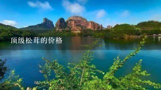 顶级松茸的价格 顶级松茸的价格