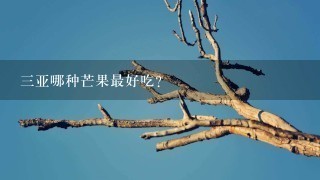 3亚哪种芒果最好吃? 3亚哪种芒果最好吃?