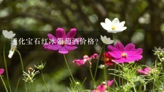 通化宝石红冰葡萄酒价格? 通化宝石红冰葡萄酒价格?