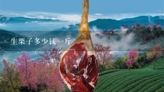 生栗子多少钱1斤 生栗子多少钱1斤