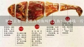 尾巴上有1个黑点的鱼叫什么鱼?20块钱1斤。 尾巴上有1个黑点的鱼叫什么鱼?20块钱1斤。