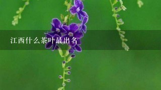 江西什么茶叶最出名 江西什么茶叶最出名