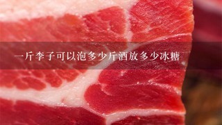 1斤李子可以泡多少斤酒放多少冰糖 1斤李子可以泡多少斤酒放多少冰糖