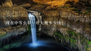 现在中等虫草1斤大概多少钱? 现在中等虫草1斤大概多少钱?
