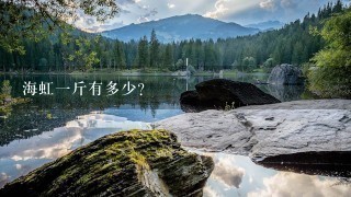 海虹1斤有多少? 海虹1斤有多少?