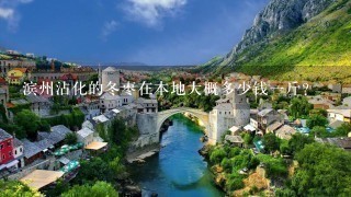 滨州沾化的冬枣在本地大概多少钱1斤？