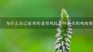 为什么自己家养的老母鸡比在外面买的鸡肉要臭 为什么自己家养的老母鸡比在外面买的鸡肉要臭