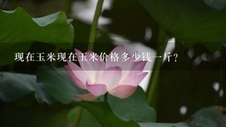 现在玉米现在玉米价格多少钱1斤? 现在玉米现在玉米价格多少钱1斤?