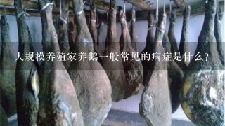大规模养殖家养鹅1般常见的病症是什么? 大规模养殖家养鹅1般常见的病症是什么?