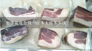 中华花龟介钱1斤多大值多少钱? 中华花龟介钱1斤多大值多少钱?