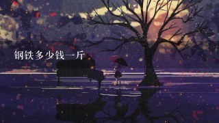 钢铁多少钱1斤 钢铁多少钱1斤