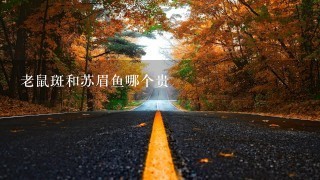 老鼠斑和苏眉鱼哪个贵 老鼠斑和苏眉鱼哪个贵