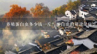 养殖蛋白虫多少钱1斤?蛋白虫的用途是什么 养殖蛋白虫多少钱1斤?蛋白虫的用途是什么