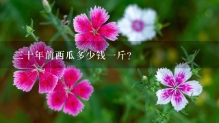 3十年前西瓜多少钱1斤? 3十年前西瓜多少钱1斤?