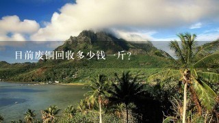 目前废铜回收多少钱1斤? 目前废铜回收多少钱1斤?