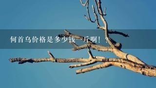 何首乌价格是多少钱1斤啊!? 何首乌价格是多少钱1斤啊!?